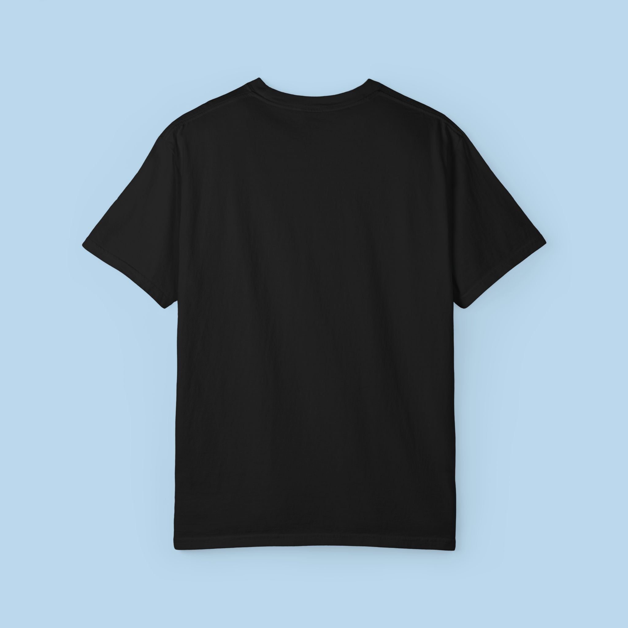 Air Journey Unisex T-shirt (Black)